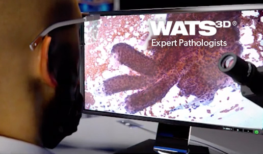 WATS3D-Pathologists