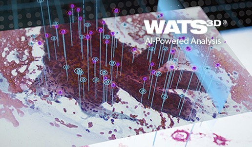 WATS3D-Right