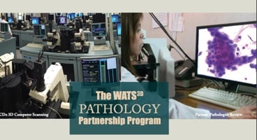 WATS<sup>3D</sup> Pathology Partnership Brochure