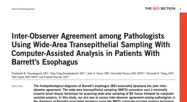 Inter-Observer Agreement among Pathologists Using Wide-Area Transepithelial Sampling With Computer-Assisted Analysis in Patients With Barrett's Esophagus